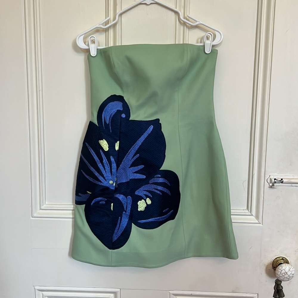 Leo Lin Embroidered Bustier Mini Dress - Hibiscus in Matcha - Picture 3 of 7